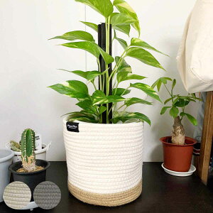 v^[Jo[ M [v i Jo[ v^[ |bgJo[ z   ~` ^ 5 6 n ϗtA A   [    rj[ j y3980~ȏ㑗