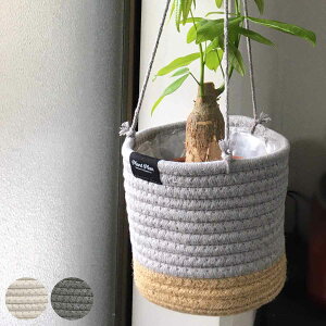 nMO v^[Jo[ S [v i Jo[ ݂艺 v^[ |bgJo[ nMOoXPbg z   ~` ^ 3 4 n ϗtA A   [  