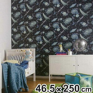 y݌ɏz ǎV[ X^[vlbg ~ ͂Ă͂ ǃfR 46.5×250cm i LH17669 CNV[g ̂t \Ĕ DIY V[ǎ Еt NX ȒP Jbg\ ǎ 