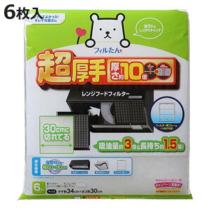 CtB^[ Wt[h 60cmp  30cmɐ؂ĂӂtB^[ 6 i { Wt[htB^[ Wt[hJo[ C WtB^[  CJo