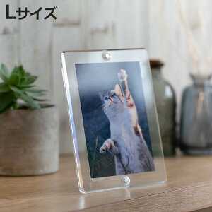 }Op` tHgt[ X^_[h LTCY i tHgX^h ʐ^ }Olbg AN {   u^ Ǌ| X^h ʐ^ c  ʐ^t[ ʐ^ Ce