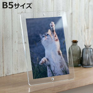 }Op` tHgt[ X^_[h B5TCY i tHgX^h ʐ^ }Olbg AN {   u^ Ǌ| X^h ʐ^ c  ʐ^t[ ʐ^ Ce