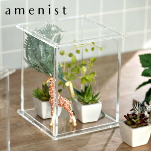 yr[Ttz fBXvCP[X E^Cv amenist i  NA AN AjXg { RNVP[X  OJbg Oʔ d؂t gi d؂ fBXv