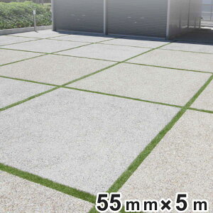 lH [^[t Xbg 55mm×5m ŏ28mm 1[ i lHŐ lH   A x_ K[f h ϋv Oϋv Ő eX  | oRj[ { ƒp JrR