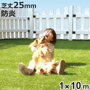 lH [^[t 1m×10m ŏ25mm 1[ i lHŐ lH   A x_ K[f h ϋv Oϋv lHŐ}bg Ő eX  | oRj[ { ƒp Jb