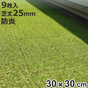 lH WCg [^[t XNGA 30×30cm 9 i lH  WCg A  x_ K[f }bg h ϋv `  eX oRj[  GNXeA K