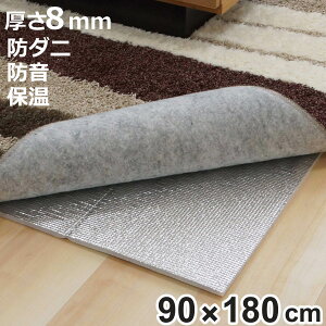 ۉV[g h_j 8mm ققX[p[DX 2p i fMV[g ۉ}bg A~}bg zbgJ[ybg R^c  fM ܂肽 90×180 2Zbg ߓd ȃGl GR ECO  fM}