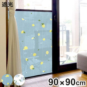 Ԍ˃V[g Ԍ˂fR[Vo ډBV[g 90×90cm i Ռ Ԍ V[g ډB  Ԍ ߋt ՌV[g SV[g Ռ  h vCoV[΍ 