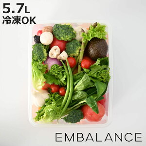 EMBALANCE �ۑ��e�� 5.7L ���N�^���O���R���e�i �p�^ �i �G���o�����X �v���X�`�b�N �Ⓚ �① �N�x�ێ� ���{�� BPA�t���[ 5700ml �X�g�b�J�[ �H�i�ۑ� �ʂ��� ���y�H�i �� �R�_���f�� EM�ۑ��e�� ��