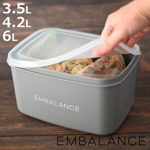 EMBALANCE ۑe t[hRei i 3.5L 4.2L 6L p^ ی^ GoX vX`bN Ⓚ ① Nxێ { BPAt[ Hiۑ ʂЂ [^ fЂ X|bg ݂|bg ݂ X 