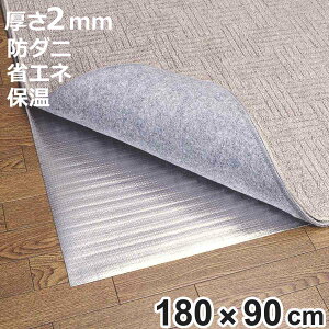 ۉV[g A~V[g 1p h_jH 180×90cm i h fMV[g 1 h_j ȃGl ۉ}bg A~}bg fM  J[ybg 180×90  zbgJ[ybg fM}bg ۉ C 