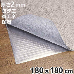 ۉV[g A~V[g 2p h_jH 180×180cm  i h fMV[g 2 h_j ȃGl ۉ}bg A~}bg fM J[ybg 180×180  zbgJ[ybg fM}bg ۉ C 