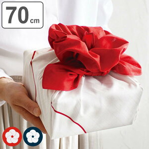 C~ GRobO 70cm   n |~ i C~ C~ ӂ낵 100 j n̓  N Nn 蕨 i َq܂  ꏡr o j jy3980~
