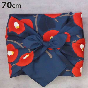 C~  70cm  |v ANAhbv ΂ RCAC GRobO i ӂ낵 C~ C~ J̓ ^  e[uNX Jo[ obO bN  C