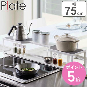 R plate RbN v[g rCJo[t 75cmRp zCg i 4903208056526  R bN  RbN R Jo[t 75cm [ 2i rCJo[ R