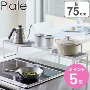 R plate rCJo[RbN v[g 75cmRp zCg i 4903208056502  R bN  RbN R 75cm ȃXy[X R R[ 