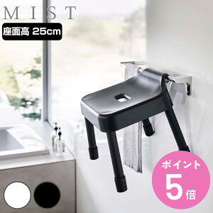 R MIST |CCX ~Xg SH 25 CCX 25cm i 4903208073059 C֎q oX`FA ݂艺 C ~ ʍ25cm C   CX ֎q Ђ |  