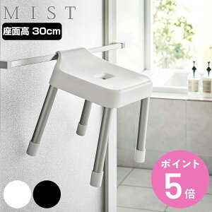 R MIST |CCX ~Xg SH 30 CCX 30cm i 4903208073073 C֎q oX`FA ݂艺 C ~ ʍ30cm C   CX ֎q Ђ |  