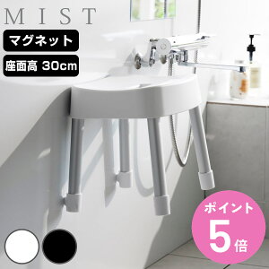 R MIST }OlbgCCX ~Xg SH30 i 4903208017237 ~XgV[Y C oX`FA C֎q ʍ30cm oX[ ubN zCg  ǖ ʂ߂h~  qI jy3980