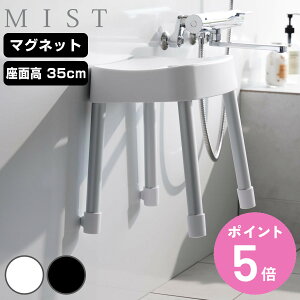 R MIST }OlbgCCX ~Xg SH35 i 4903208017251 ~XgV[Y C oX`FA C֎q ʍ35cm oX[ ubN zCg  ǖ ʂ߂h~  qI jy3980