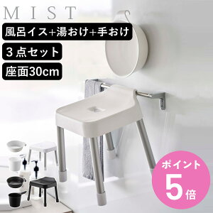 R MIST |CCX SH30+}Olbg|+}Olbg肨 3_Zbg ~Xg i 4903208073073 oX`FA ʍ30cm  ʊ 艱 ǖ  zCg ubN 