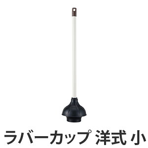 o[Jbv m  DailyClean i ܂ l܂ | | gC   r Rh RY j y3980~ȏ㑗z