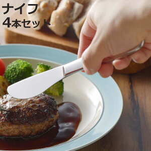  fU[giCt 4{Zbg i iCt XeX { O fU[g Jg[ 21.5cm  v Kтɂ Vv  H qp ig jy3980~ȏ㑗z