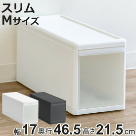 収納ケース スリム M プラスチック 引き出し 収納 幅17×奥行47×高さ22cm （ 収納ボックス 衣装 ケース ボックス 日本製 クローゼット収納 隙間収納 押入れ収納 クローゼット 押入れ BOX CD キッチン スタッキング 積み重ね ）【3980円以上送料無料】