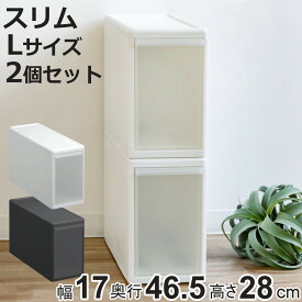 収納ケース スリム L 幅17×奥行47×高さ28cm プラスチック 引き出し 収納 同色2個セット （ 収納ボックス 衣装 ケース ボックス 日本製 隙間収納 クローゼット収納 押入れ収納 クローゼット 押入れ BOX CD キッチン スタッキング ）【3980円以上送料無料】