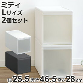 収納ケース ミディ L 幅26×奥行47×高さ28cm プラスチック 引き出し 収納 同色2個セット （ 収納ボックス 衣装 ケース ボックス 日本製 クローゼット収納 隙間収納 押入れ収納 キッチン 脱衣所 衣類 積み重ね 小物 リビング収納 ）【3980円以上送料無料】