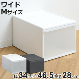 収納ケース ワイド L 幅34×奥行46.5×高さ28cm プラスチック 引き出し 収納 日本製 （ 収納ボックス 衣装 ケース クローゼット収納 ボックス 積み重ね 押入れ収納 キッチン 脱衣所 衣類 スタッキング 小物収納 洋服 リビング収納 ）【3980円以上送料無料】