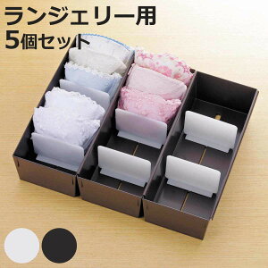 仕切りケース 幅14×奥行33×高さ9cm ランジェリー用 5個セット ( 小物収納 収納 引き出し 仕切り 収納ケース インナーケース 仕切りボックス プラスチック 間仕切り ケース 収納ボックス 間仕