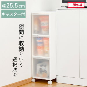 Lb`XgbJ[ 25.5cm 3i LX^[t XXg[W MS30 i Lb`[ Ԏ[ X XgbJ[ bN Tj^[ vX`bN VN[ o Ԏ[ 