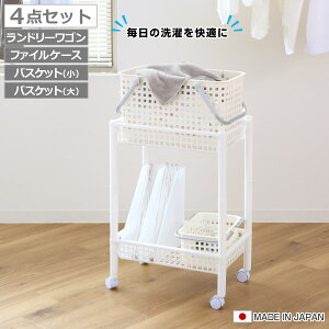 h[SZbg oXPbg^Cv SCB-11 i h[S h[oXPbg t@CP[X 4_Zbg Zbg 󂩂 E߂ S oXPbg [ h[ 