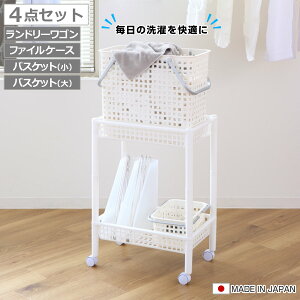 h[SZbg oXPbg^Cv SCB-12 i h[S h[oXPbg t@CP[X 4_Zbg Zbg 󂩂 E߂ S oXPbg [ h[ 