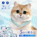 ★365日毎日発送★2025夏 かわいいペットとお揃い ペット兼用 リング ひんやり ネッククーラー 暑さ対策 ネッククーラー キッズ クールリング クールネック ひんやりグッズ ペット用 首 ひんやり 冷感グッズ 28℃ ワンちゃん ひんやり首輪 犬用 アイスクール 猫 クールリング