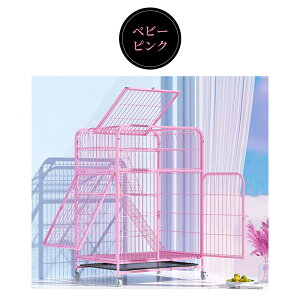 L P[W LbgP[W 3i L݌v Rgݍ킹 g[t LhAt nbNt ^ LQ[W   LbgnEX lR nEX i  ی Eh~ 