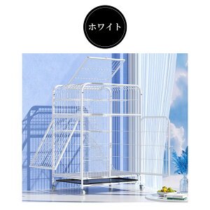 L P[W LbgP[W 3i L݌v Rgݍ킹 g[t LhAt nbNt ^ LQ[W   LbgnEX lR nEX i  ی Eh~ 