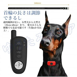 ő400mȓʐM [d  ʖih~ dC pp 3[h dCVbN U r[v ő400mȓʐM [d IPX7h P ^ _i
