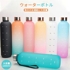  1bg ڐt  1L 1000ml EH[^[{g ^C}[J[ jp gѕ֗ Rh~ q e y  ̎q  X|[c 킢 vX`bN X|[c