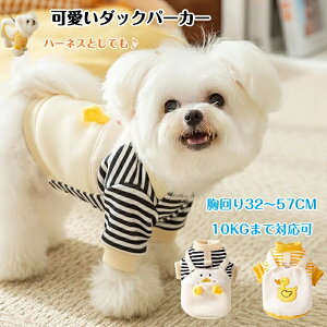 ybg  H~ pp[J[ m H~ h R[g lC t@bV  _炩 g ^ L ybgpi h ΍ \ q Lp TCYI U 