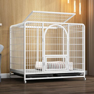 ybgP[W B  P[W ybgT[N hbOP[W ybgtFX ^ ^ ^p ybgpi LX^[t