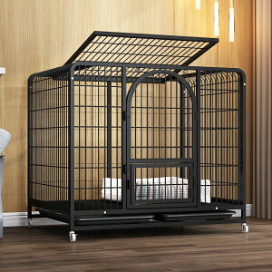 ybgP[W B  P[W ybgT[N hbOP[W ybgtFX ^ ^ ^p ybgpi LX^[t