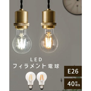 LED�t�B�������g�d�� �K���X ���� �N���A�d�� �t�B�������g ���g���d�� A�` ��ʓd���` �i�X�^ �m�[�}�� ���a60mm 6cm �z���C�g/�C�G��