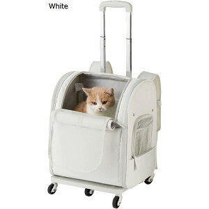 ybgJ[g ybgpX[cP[X  Lp 5 LX^[ ԍ E ܂肽ݎ  L[obO L[J[g ʋC