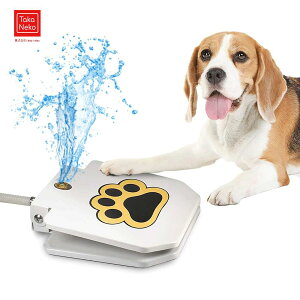 pݏ  O ybg XvN[ pߋ   fBXyT[ Ŋꂽpybg 