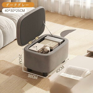 [Xc[ rt  x` Ch 40×30cm [Xc[{bNX k 킢 ֎q `FA  CX [t [tXc[ [t`FA