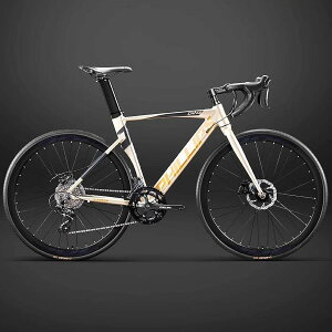 ] A~t[ [hoCN fBXNu[L GA[hoCN 16 fB[ fARg[o 700C S t