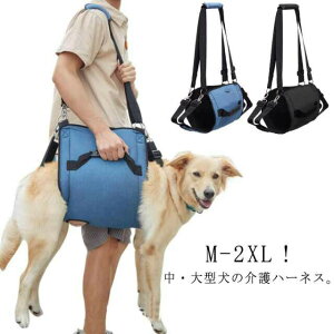  p  pi  オ s⏕n[lX ^  Vn[lX pn[lX Ck Sgn[lX n[lX s ⏕  VjA p pi V ⏕