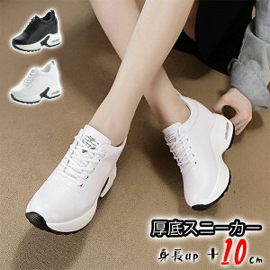 V[NbgV[Y fB[X 10cm gAbv C fB[X Xj[J[ C V[Y EH[LOV[Y _bhXj[J[ fB[XV[Y tďH~ ۉ ʋC w